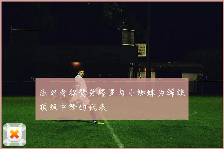 法尔考称赞劳塔罗与小蜘蛛为稀缺顶级中锋的代表