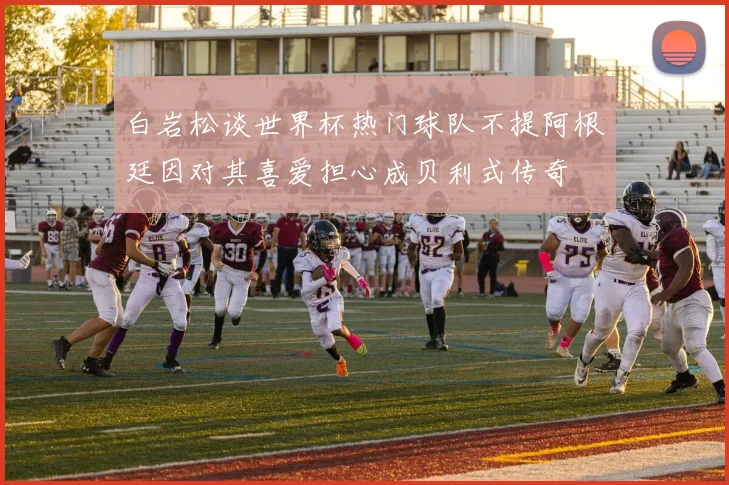 白岩松谈世界杯热门球队不提阿根廷因对其喜爱担心成贝利式传奇
